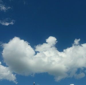 Meet your Posher, Natasha