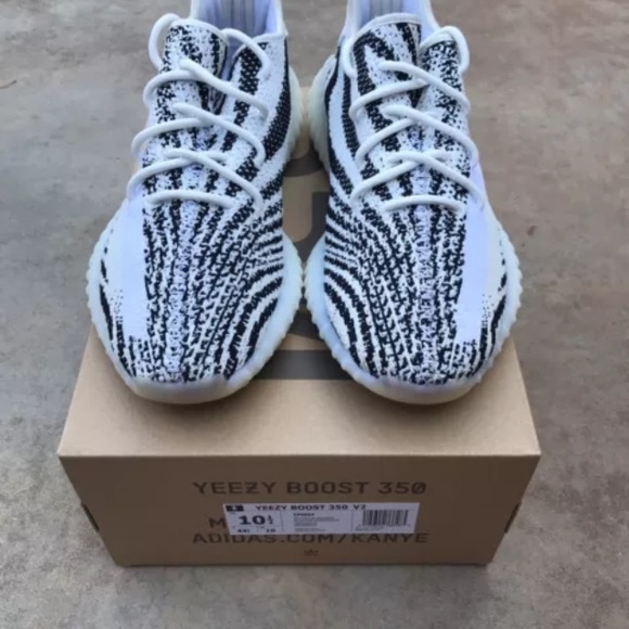 Yezzys zebras main image 6