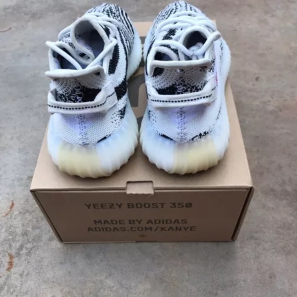 Yezzys zebras main image 5