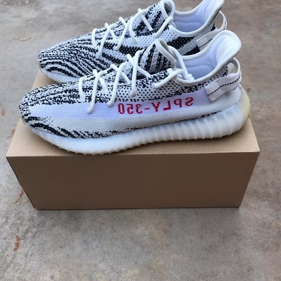 Yezzys zebras