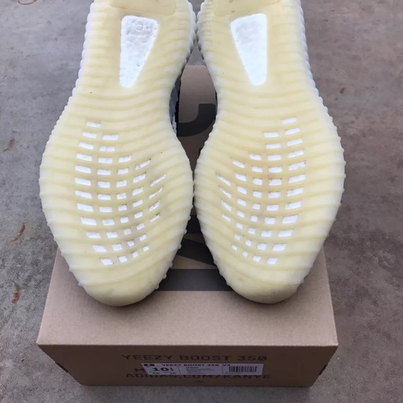 Yezzys zebras main image 4