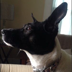 Meet your Posher, Katelyn