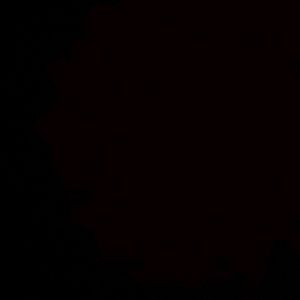 Meet your Posher, Whisper