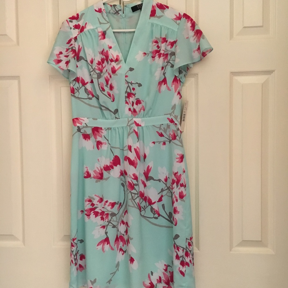 NWT Alex Marie dress size 6P.