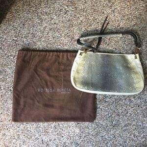Bottega Veneta authentic snake skin purse