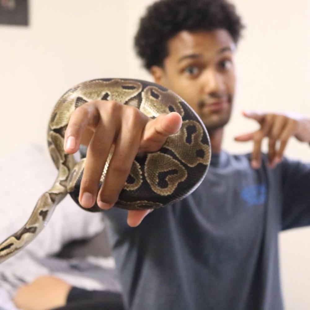 Meet your Posher, Tyler