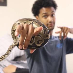 Meet your Posher, Tyler