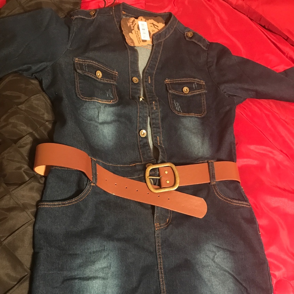 Blue Jean above the knee dress