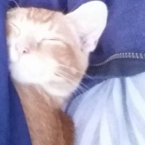 Meet your Posher, Breeanne