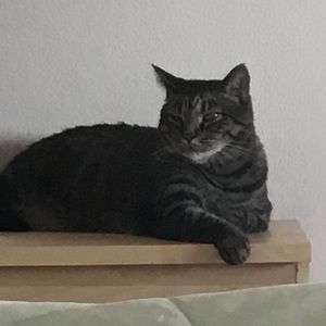 Meet your Posher, William