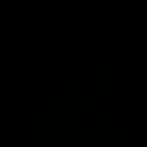 Meet your Posher, Destiny