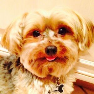 Meet your Posher, Michael