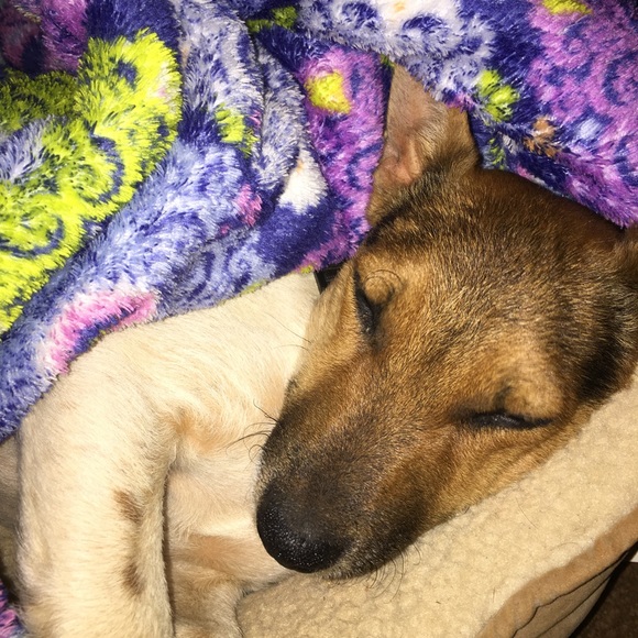 Meet your Posher, Ronejean - Picture 2 of 7