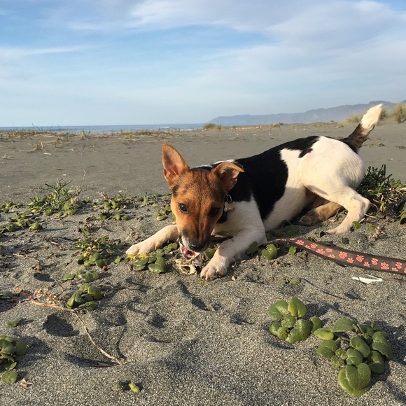 Meet your Posher, Ronejean - Picture 5 of 7