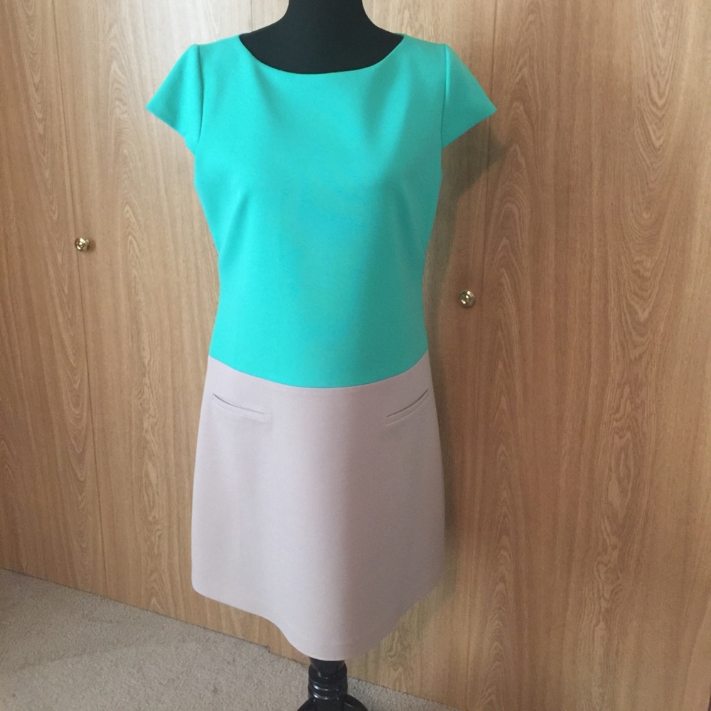 Eliza J dress- Nordstrom Purchased