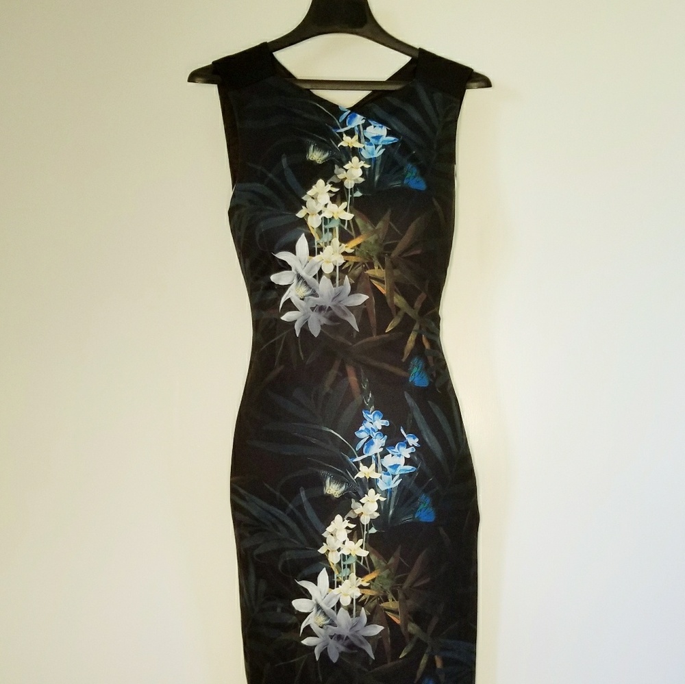 Stunning Ted Baker Loua Midi Dress XS