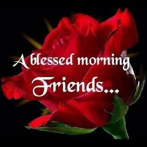 Meet your Posher, Carolyn