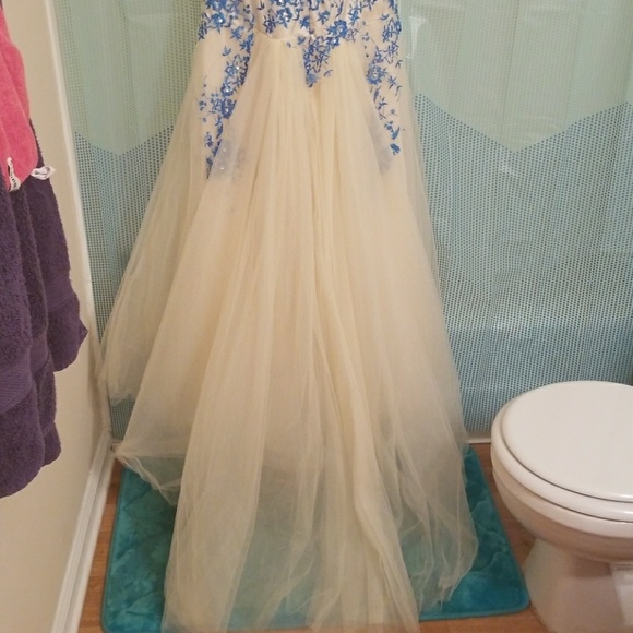 Prom Dress - Picture 5 of 5