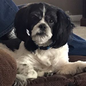 Meet your Posher, Carissa