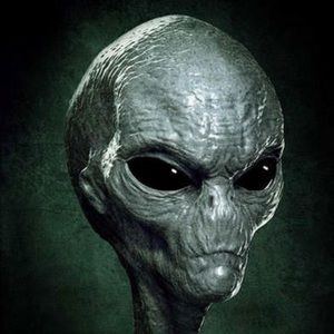 Meet your Posher, Brennan