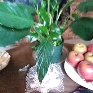 Meet your Posher, Sabrina