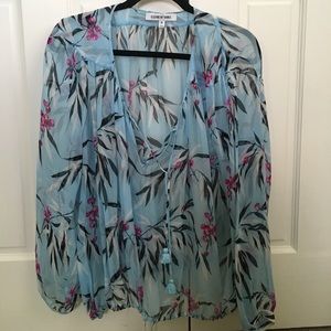 Transparent Elizabeth and James blouse