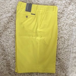 Ashworth Men's 32 Golf Shorts
