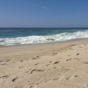 Meet your Posher, Suzanne