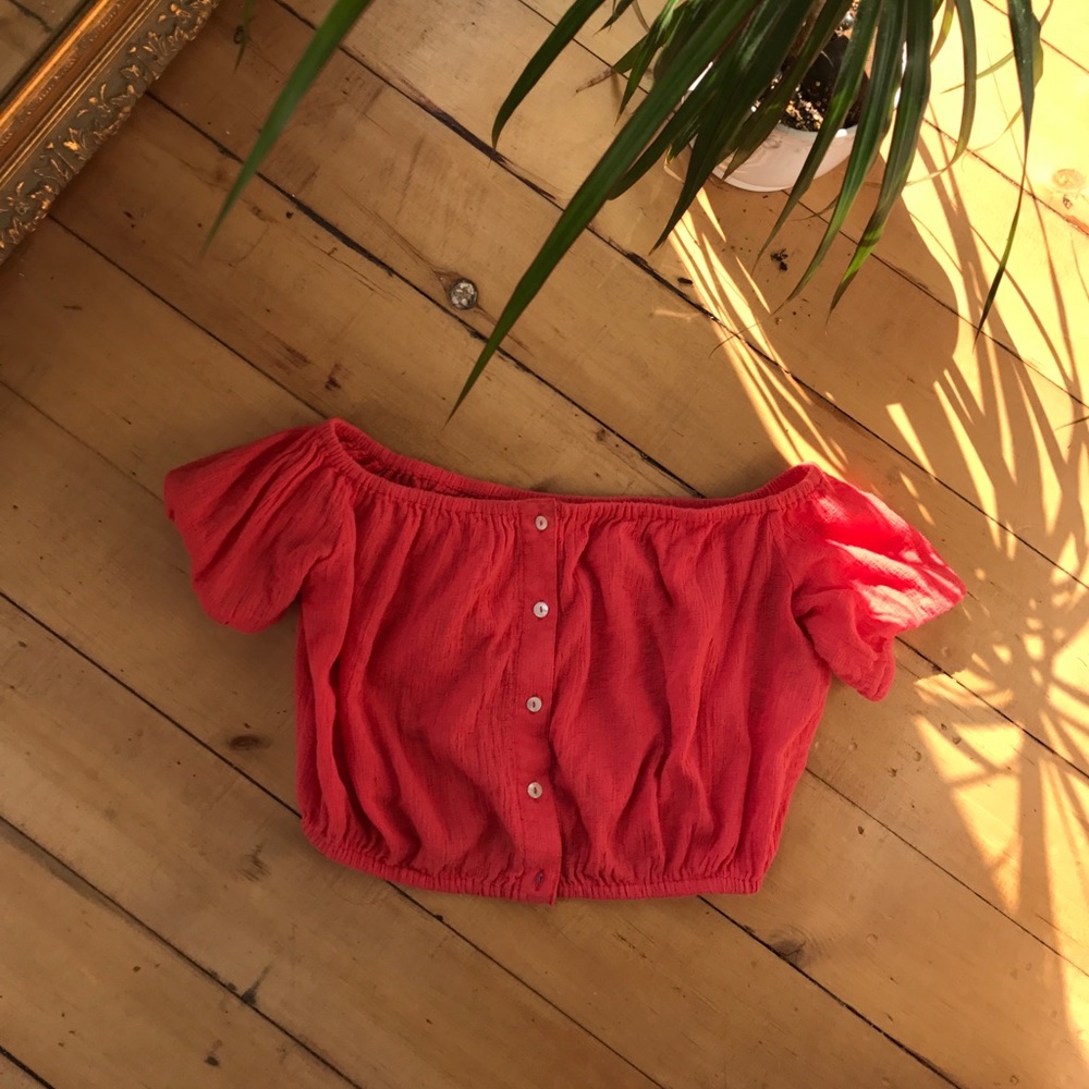 Zara Trafaluc Peach Crop Top.
