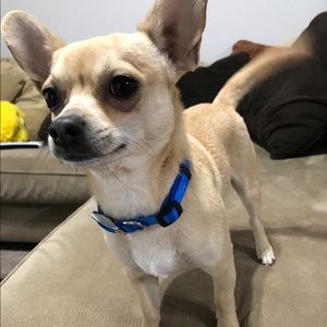 Meet your Posher, Pam