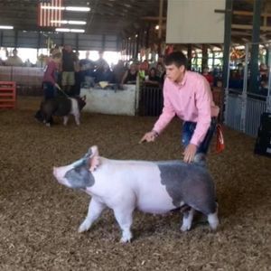 Meet your Posher, Lori