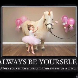 Meet your Posher, Doris