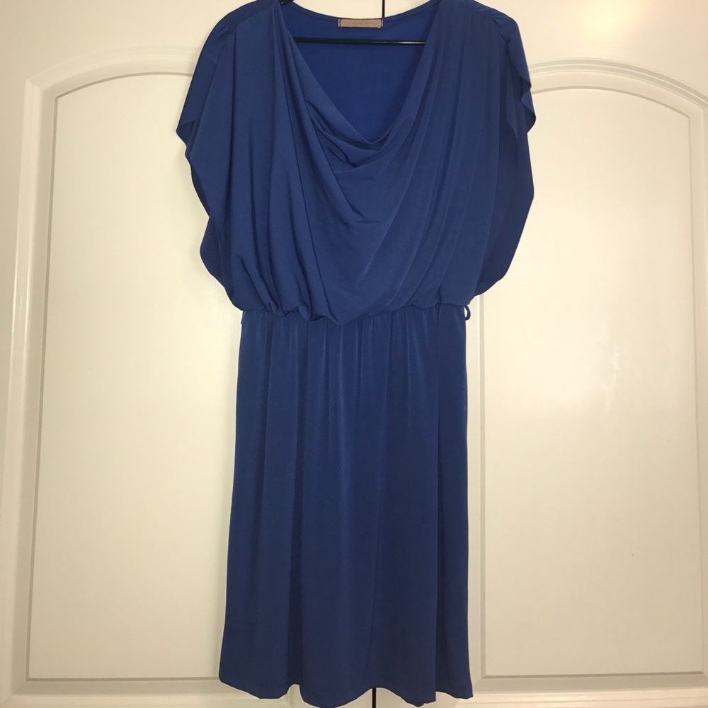 Blue Jonathan Martin Dress