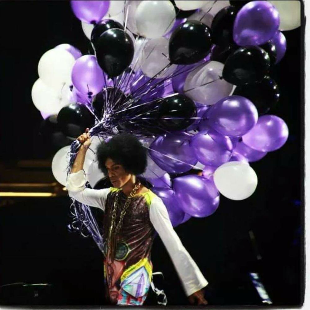 Meet your Posher, Brandy