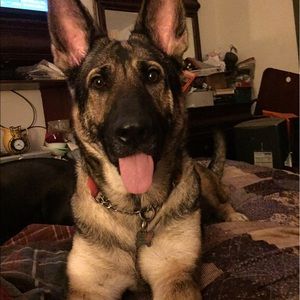 Meet your Posher, Beatrice