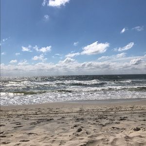 Meet your Posher, Joey