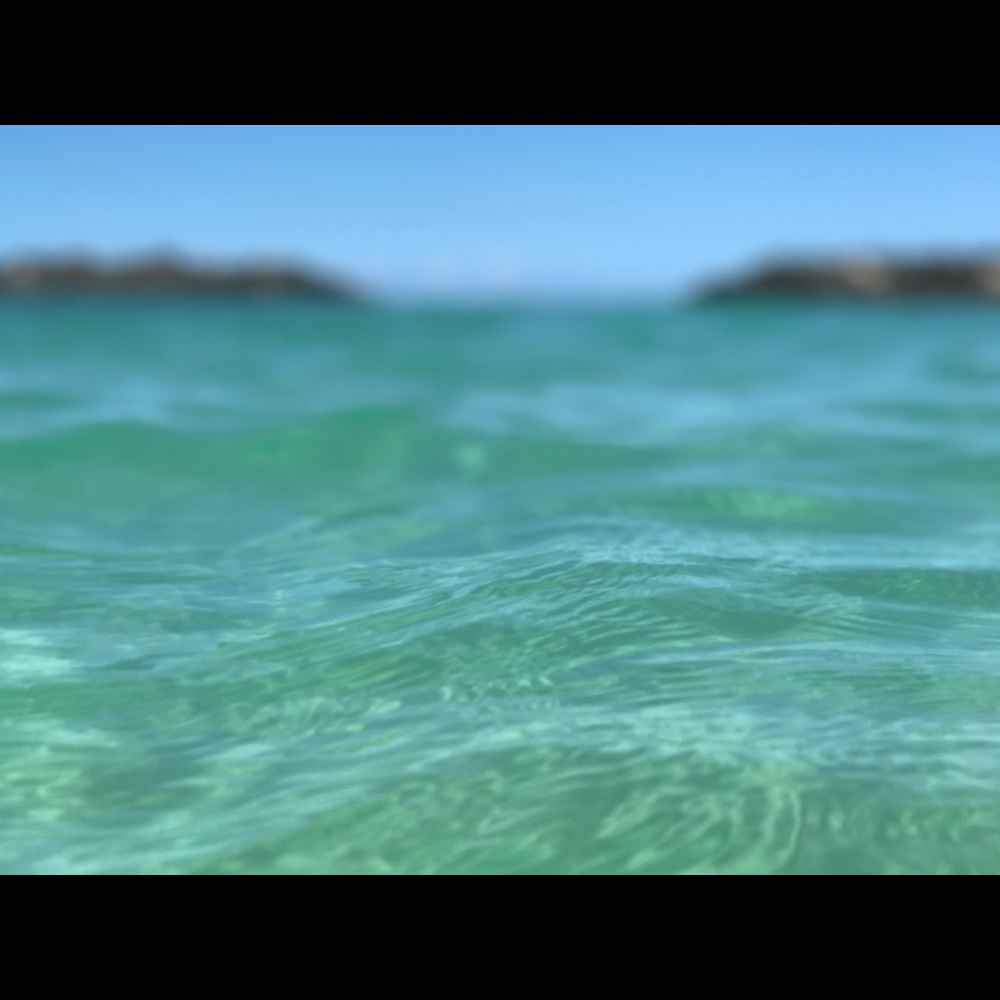 Meet your Posher, Kyleigh