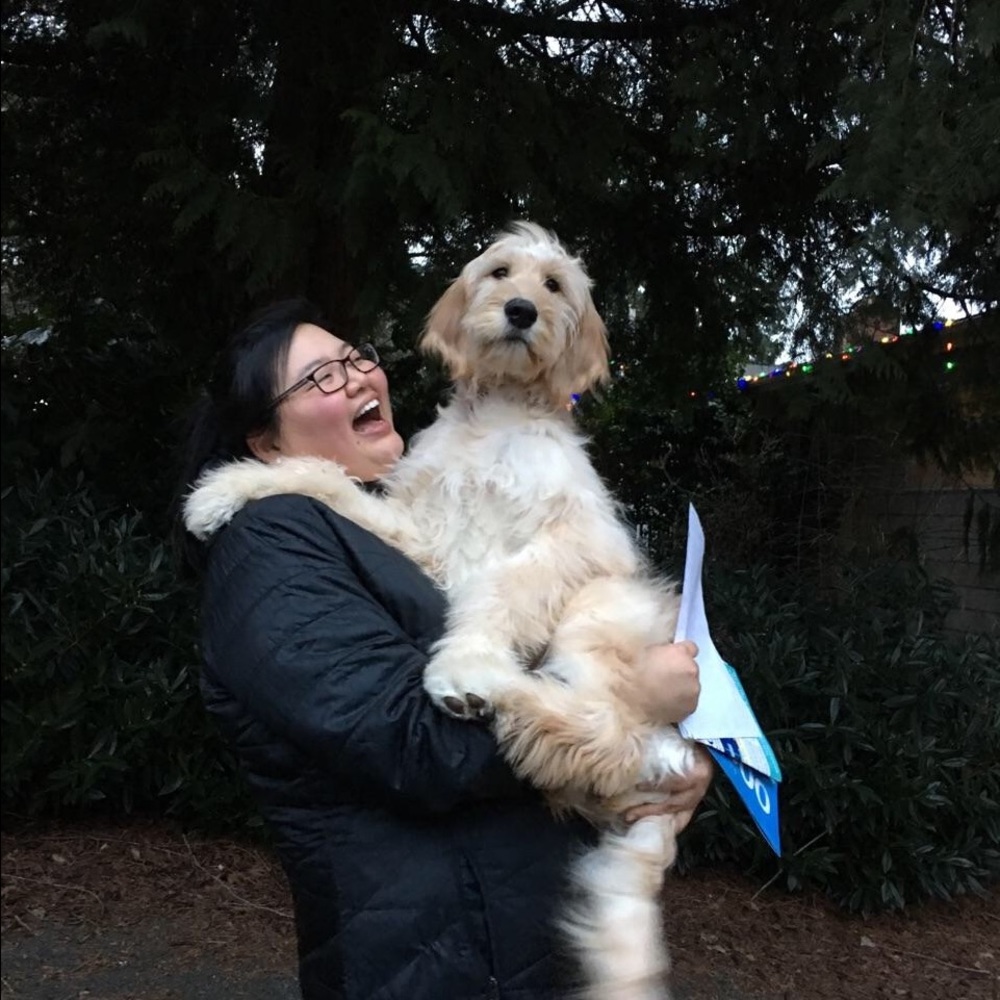 Meet your Posher, Ashley