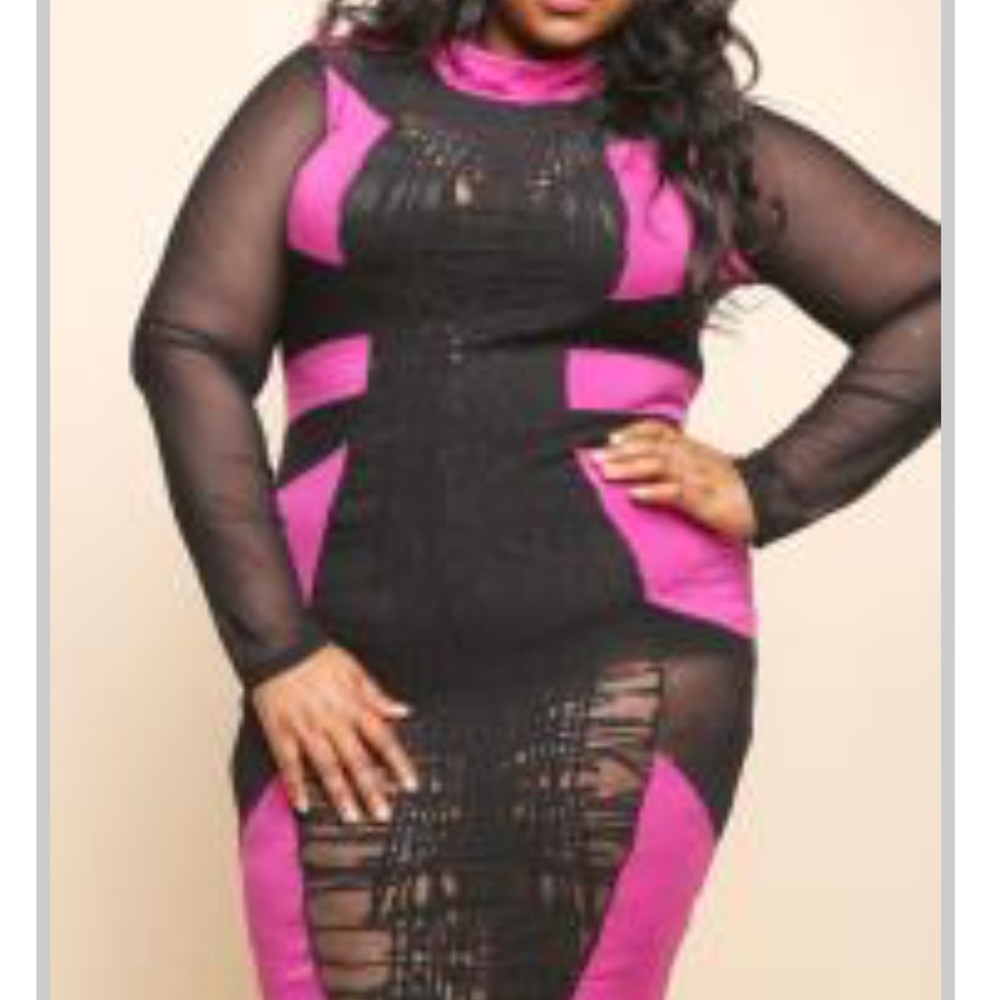 Beautiful mesh cut out dress sexy and gorgeous