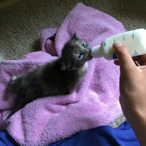 Your purchases give us a chance at life! - Picture 5 of 6