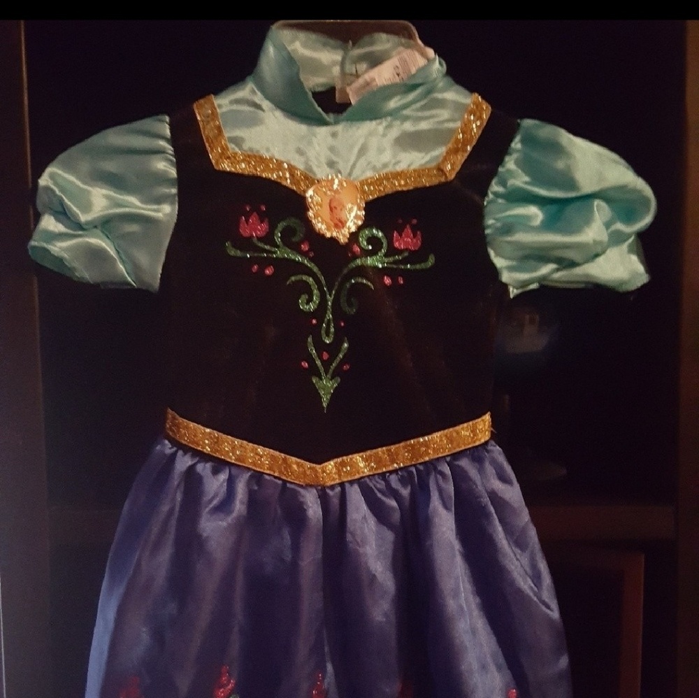 DISNEY COSTUME FROM FROZEN