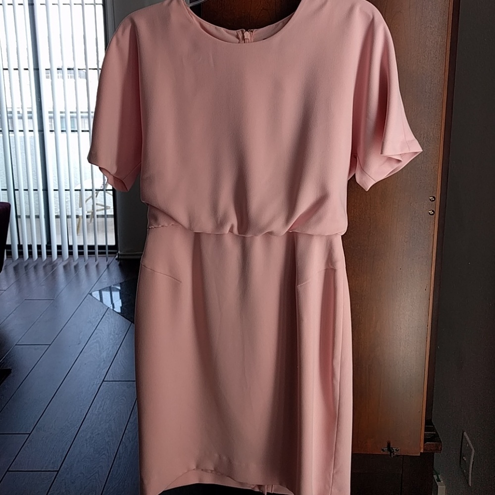 Banana Republic pink short sleeve dress