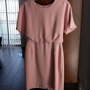Banana Republic pink short sleeve dress
