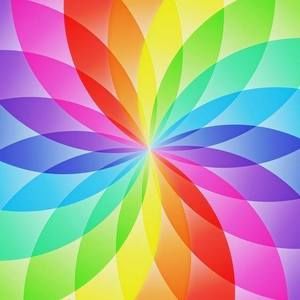 Meet your Posher, Janine