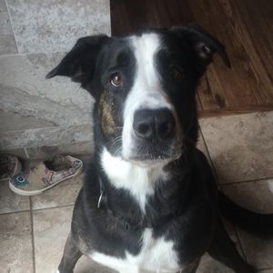 Meet your Posher, Julia