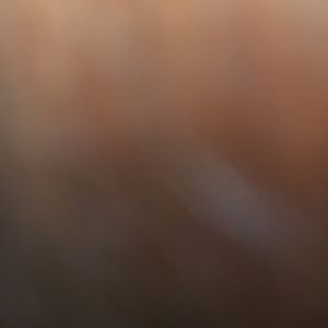 Meet your Posher, Trevor