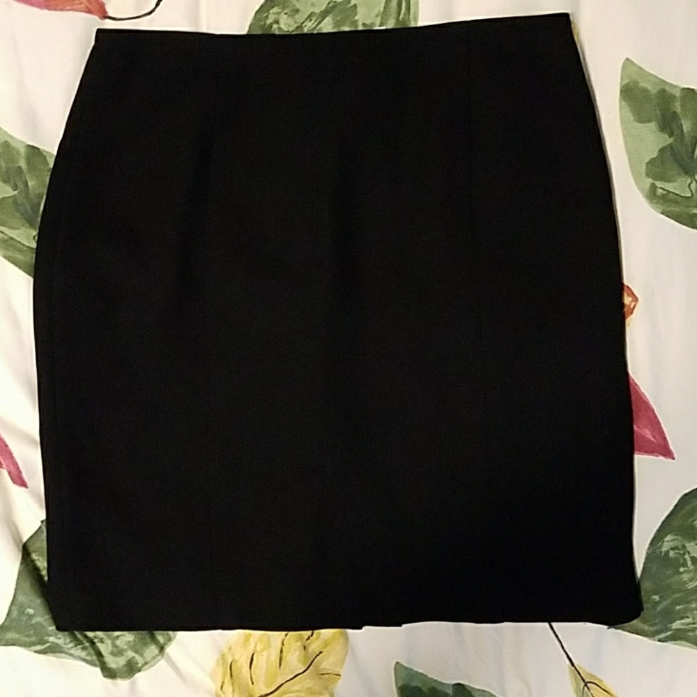 Ann Taylor skirt
