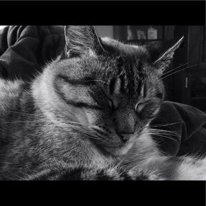 Meet your Posher, Deb