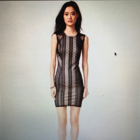 Bar III Lace Bodycon (small) - Picture 2 of 2