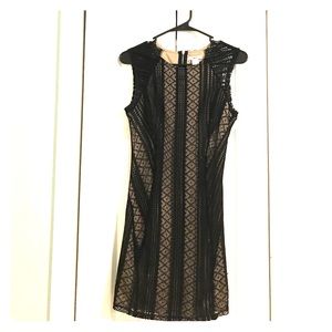Bar III Lace Bodycon (small)